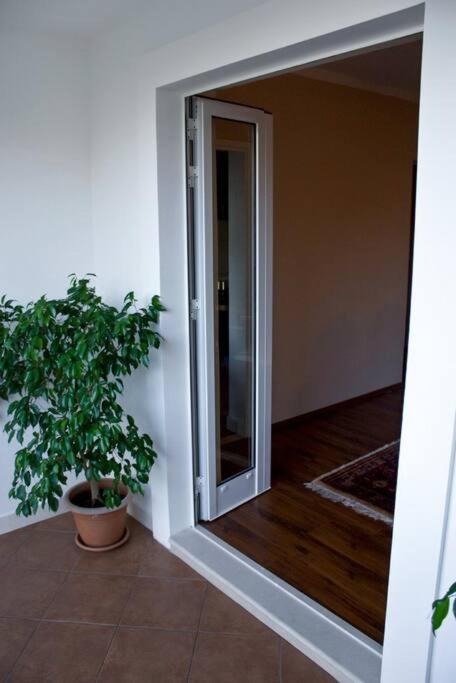 Best Dubrovnik Apartment Dubrovnik