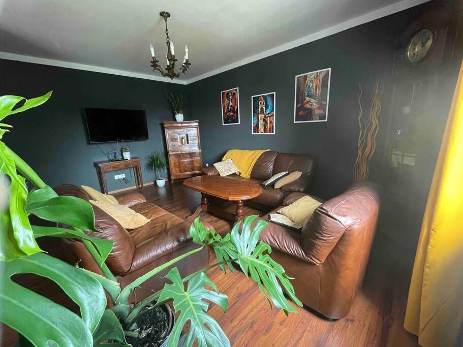 Best Dubrovnik Apartment
